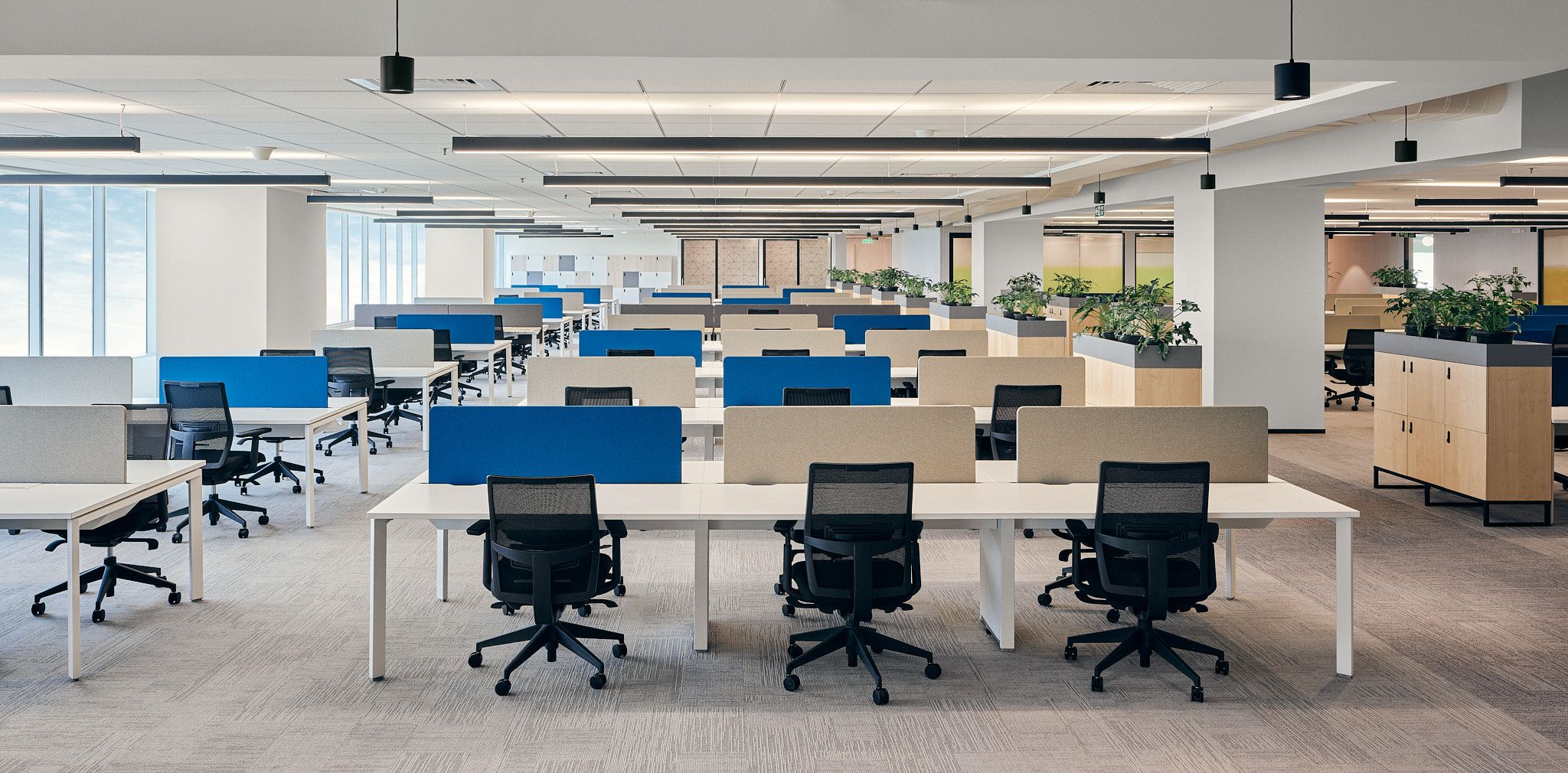 Commercial Office Space